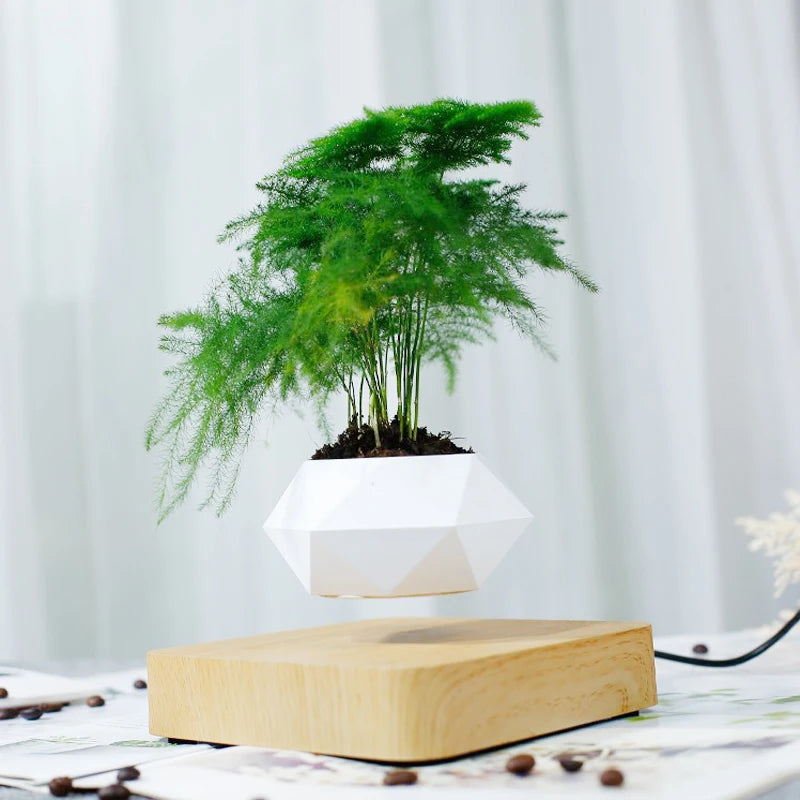 Hover Planter